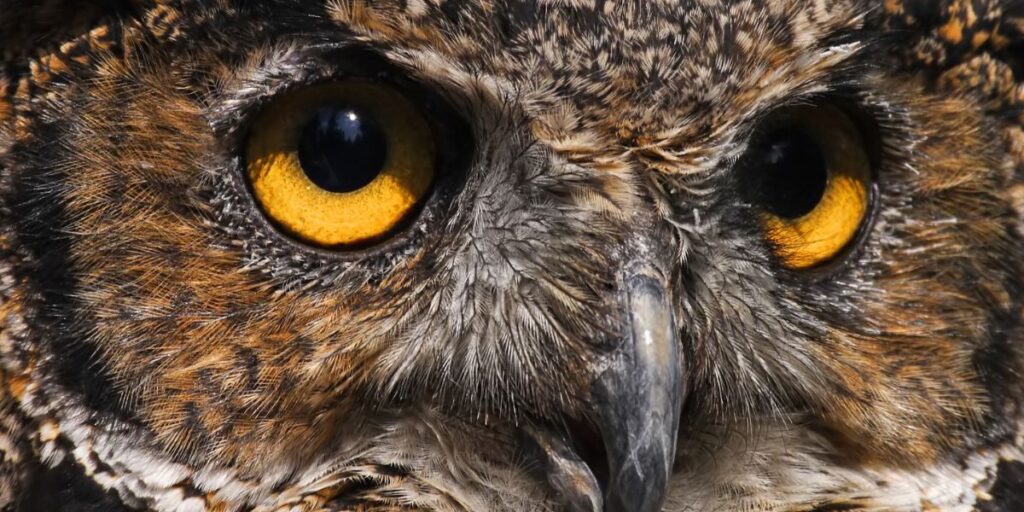 How to Use Financial Data to Make Smart Decisions