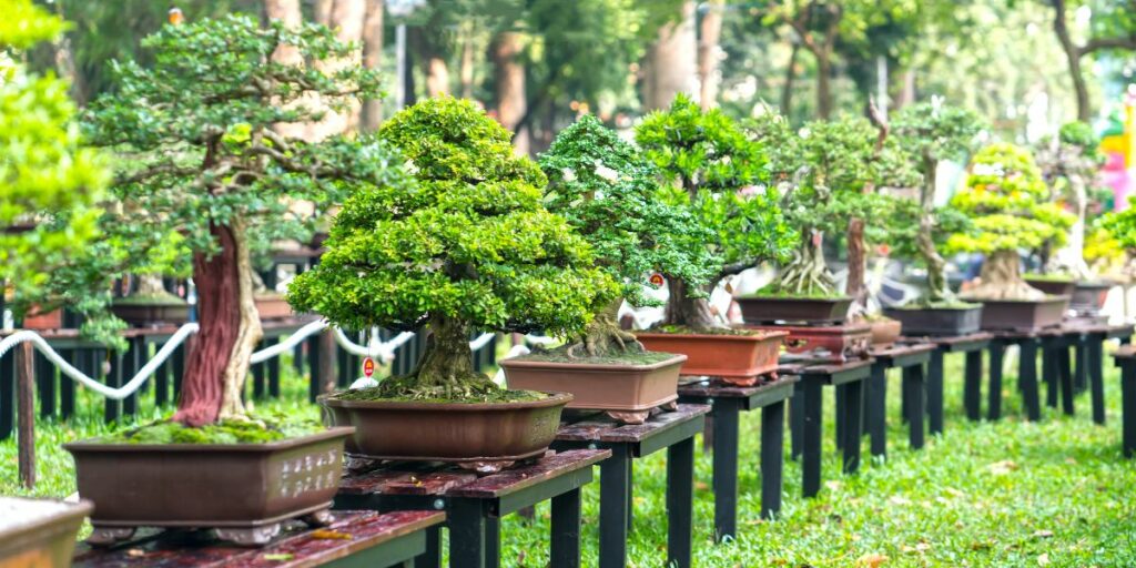 Effective tax planning is a cornerstone of financial success for businesses, regardless of size or industry. Understanding and leveraging tax deductions can significantly reduce taxable income, thereby improving cash flow and profitability. This guide explores strategies and categories to help businesses maximize their deductions, maintain compliance, and streamline their financial processes.

The Importance of Tax Deductions

Tax deductions lower the taxable income by allowing businesses to subtract qualifying expenses. For small businesses, freelancers, and corporations, this means more capital can be reinvested into operations, growth, or employee benefits. However, improper classification or incomplete records can result in missed opportunities or audits, underscoring the importance of precise record-keeping and professional advice.