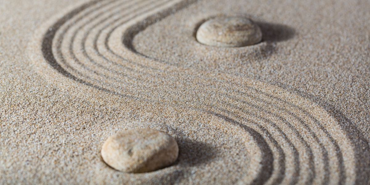 Financial Reporting for Small Businesses: A Clear Path to Informed Decisions
Accurate and insightful financial reporting is the lifeblood of any successful business, and small businesses are no exception.  It's more than just crunching numbers; it's about transforming raw data into actionable insights that drive informed decision-making, fuel growth, and ensure long-term sustainability.  This comprehensive guide, crafted with the expertise of Basta + Croop, a leading tax and financial services firm in Charlotte, NC, will illuminate the critical aspects of financial reporting for small businesses, empowering you to navigate the financial landscape with confidence.


